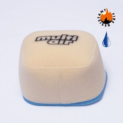 Picture of 3L | OILED | WSP  |  | 2011