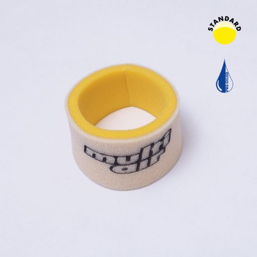 Picture of 2L | OILED | FANTIC 300 TWIN SHOCK |  | 