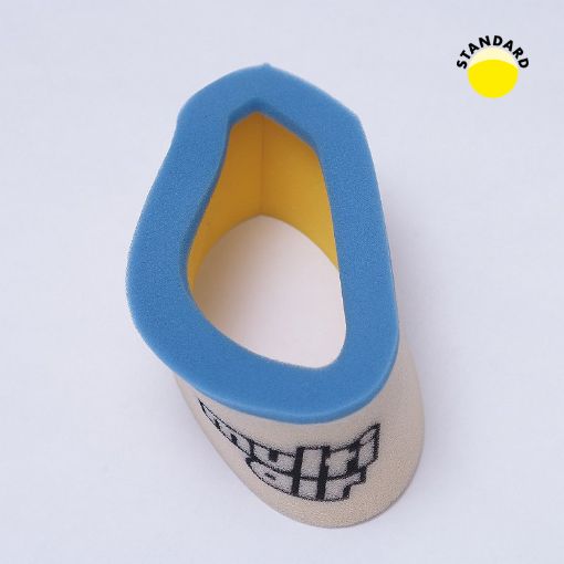 Picture of 2L | DRY | Kawasaki PRAIRE | 700 | 2004-2006 